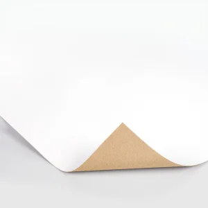 Clay Coated Kraft Back (CCK)